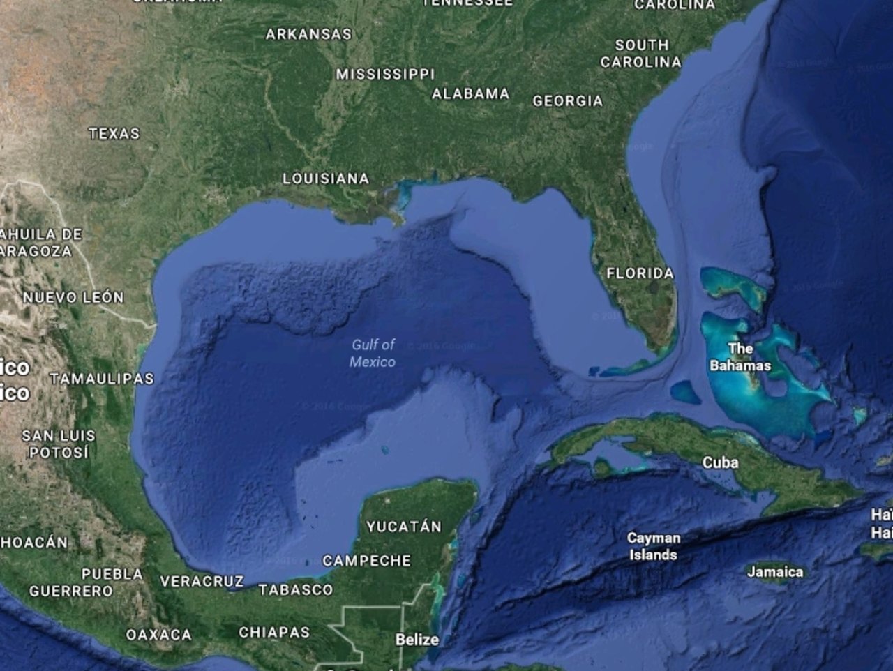 (Gulf of Mexico)